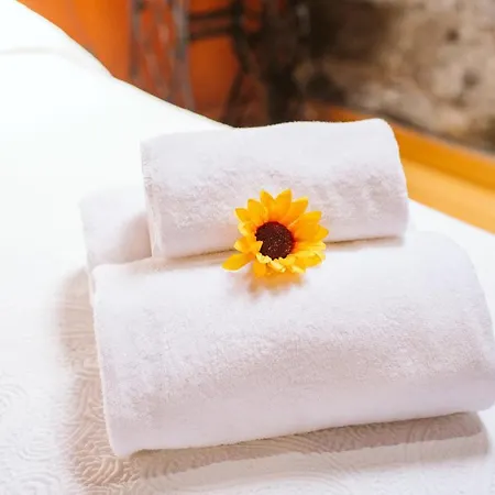 Sunny A & B By Amazing Madeira Hébergement de vacances *